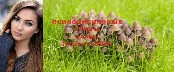 кокаин перу Инсар