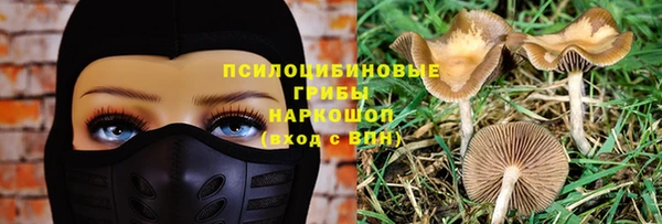 круглые Иннополис