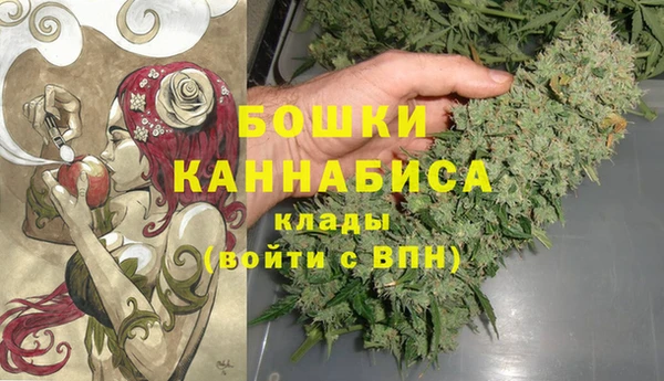 круглые Иннополис