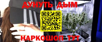 крисы Кимры